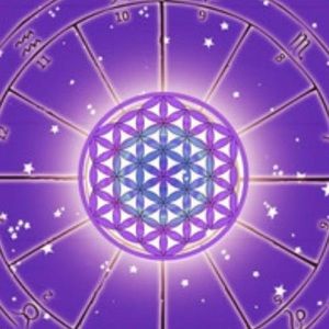 Meet your Posher, Daniela